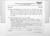 Naohidemyces vaccinii image